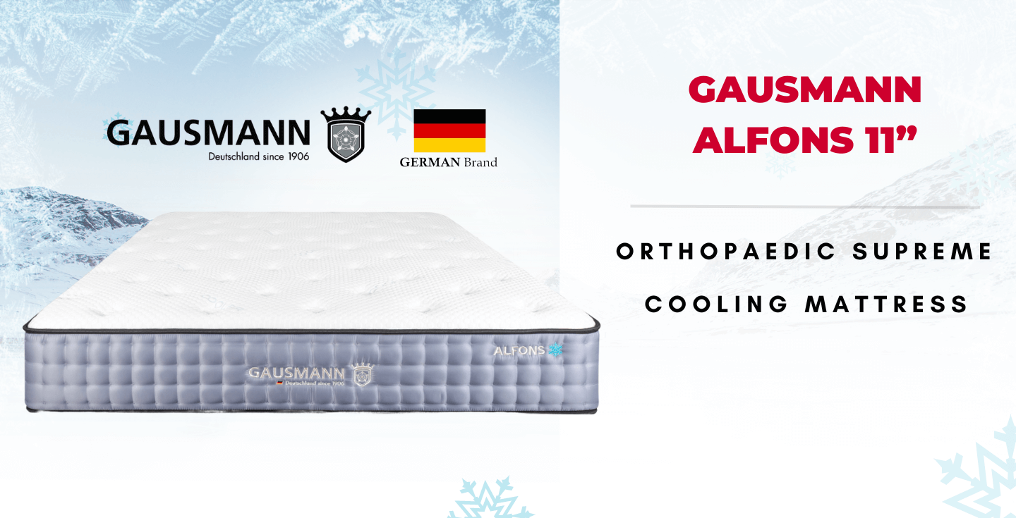 Gausmann Alfons 11”